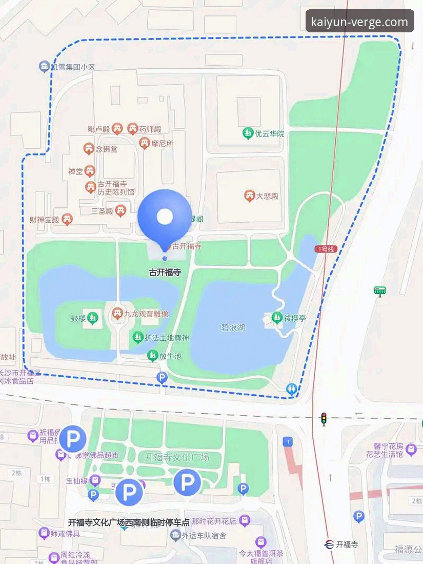 开云体育入口：最新版本下载与深度评测完整指南